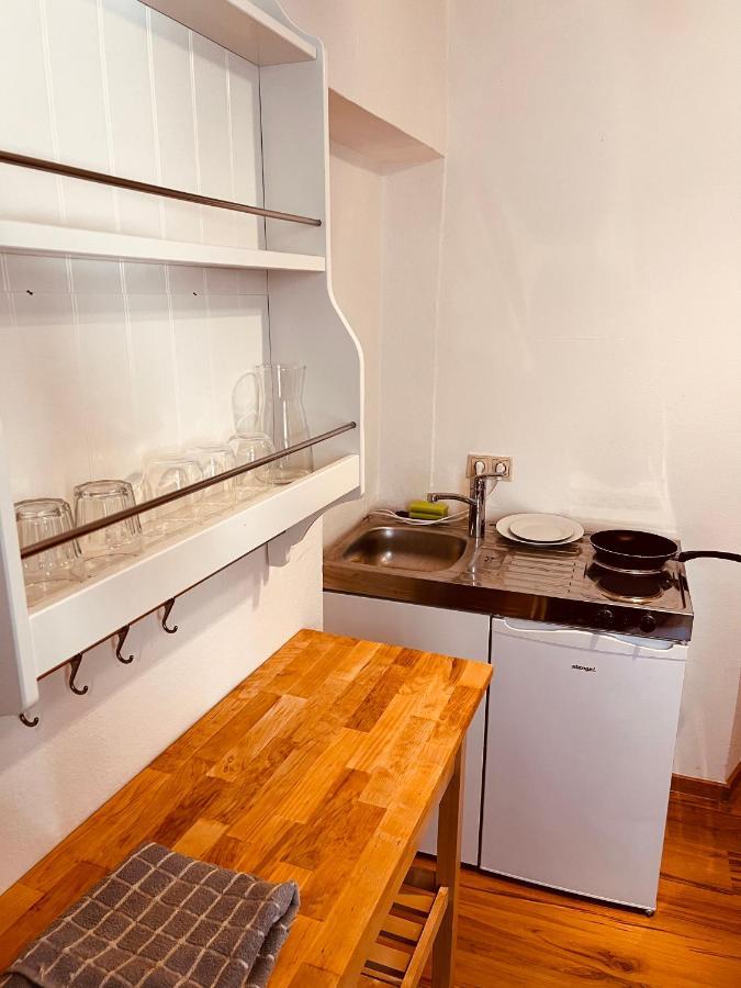 Graz City Centre Apartment Kültér fotó